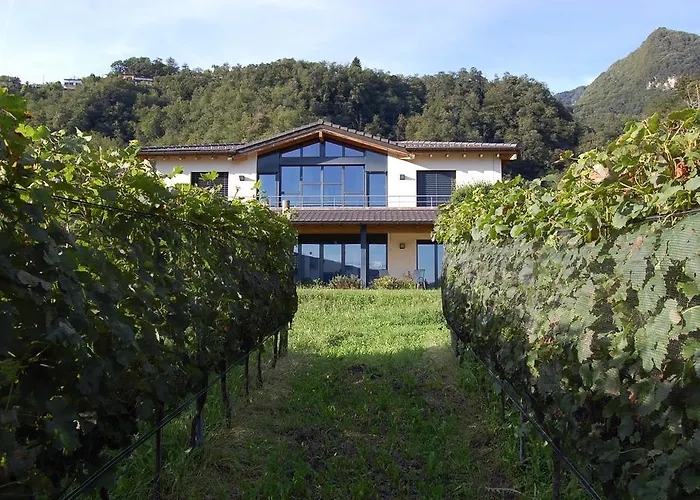 B&B Il Vigneto