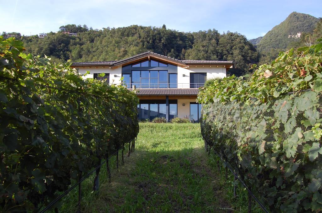 Alojamento de Acomodação e Pequeno-almoço Il Vigneto 3*